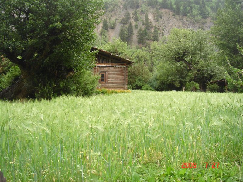DSC08270.JPG