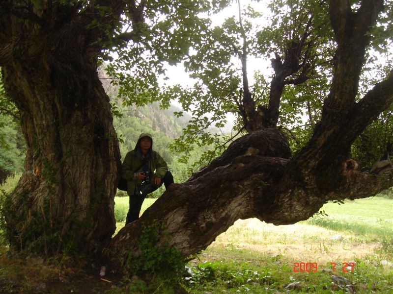 DSC08280.JPG