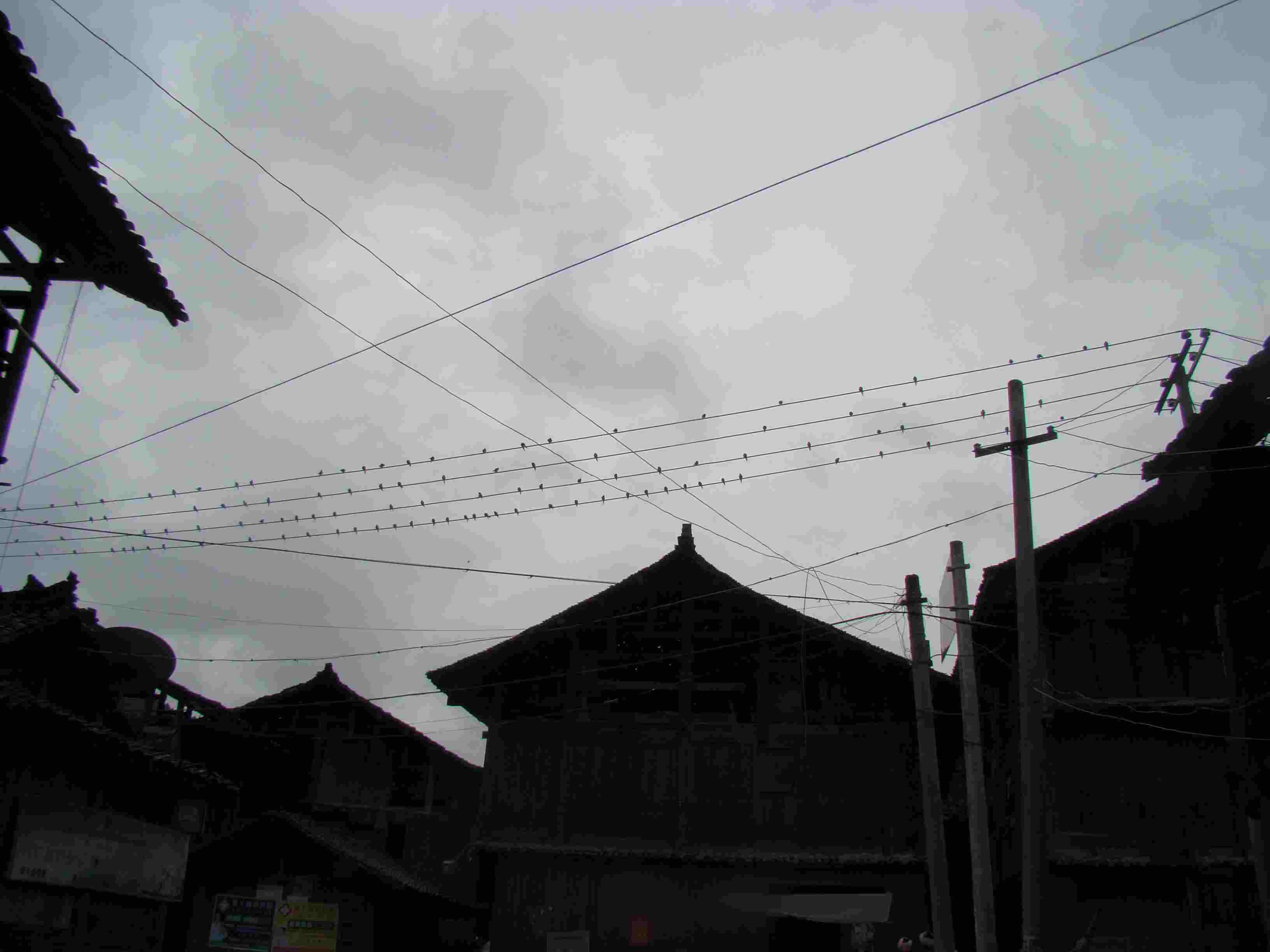 DSC04048.jpg