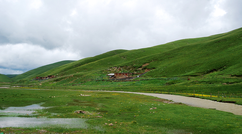 n60 446.jpg