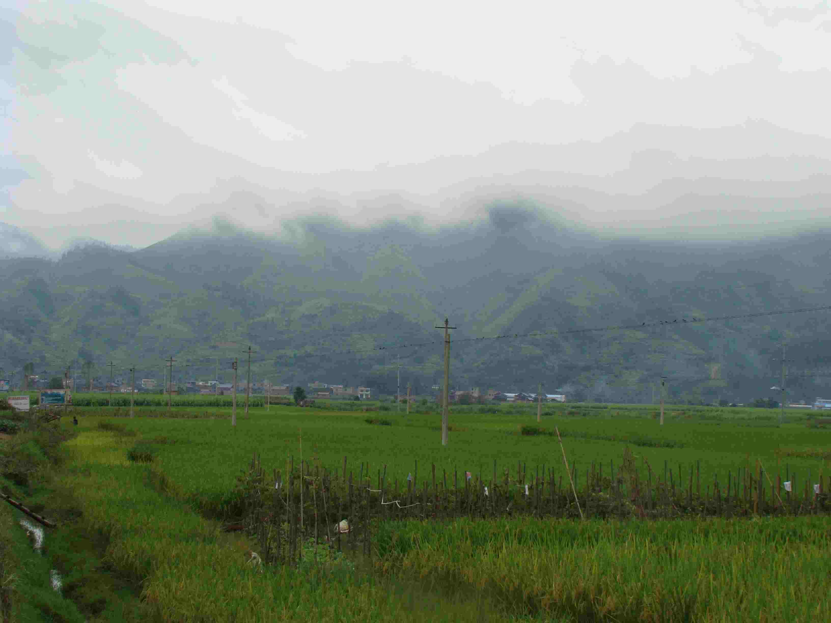 DSC04066.jpg