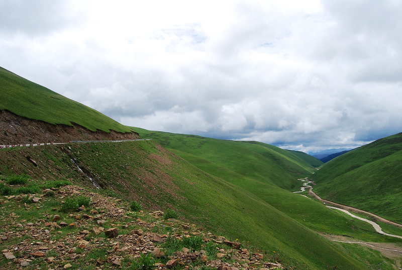 n60 438.jpg