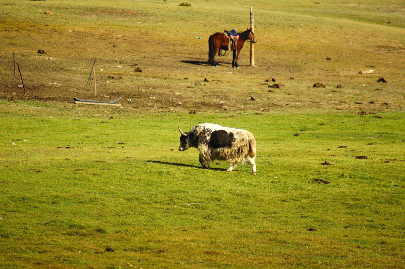 DSC09781.jpg