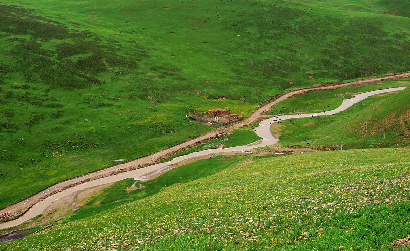 n60 444.jpg