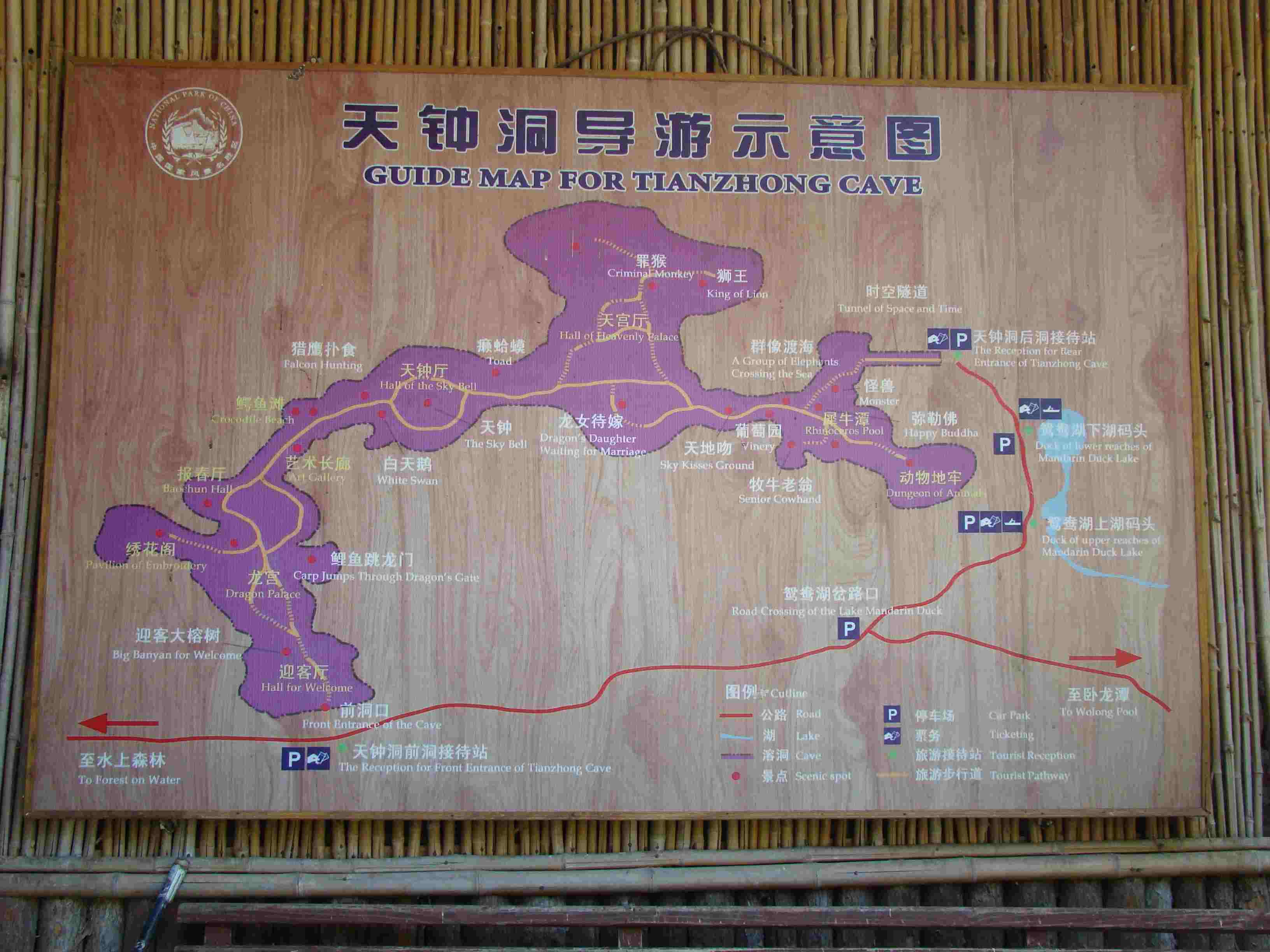 DSC04197.jpg