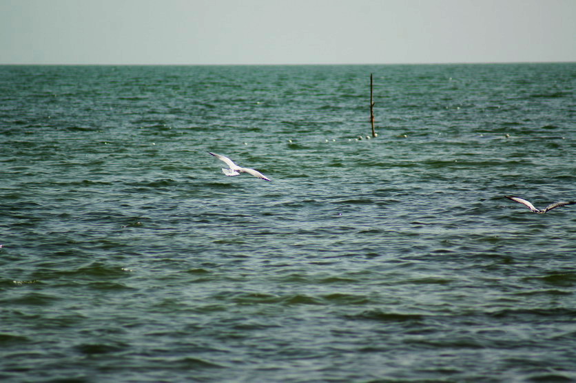 DSC09861.jpg