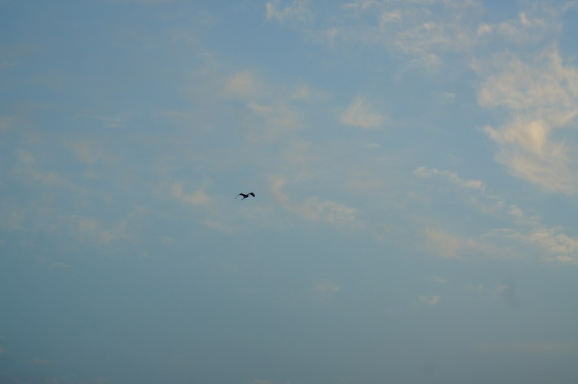 DSC00142.JPG
