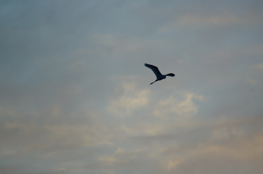 DSC00145.JPG