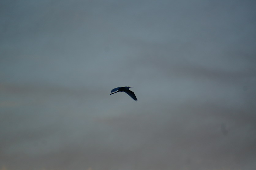 DSC00146.JPG