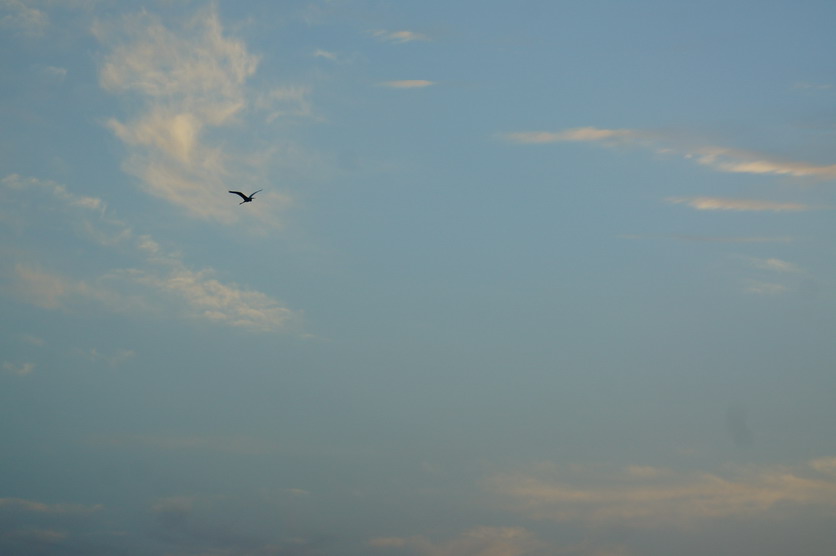 DSC00144.JPG