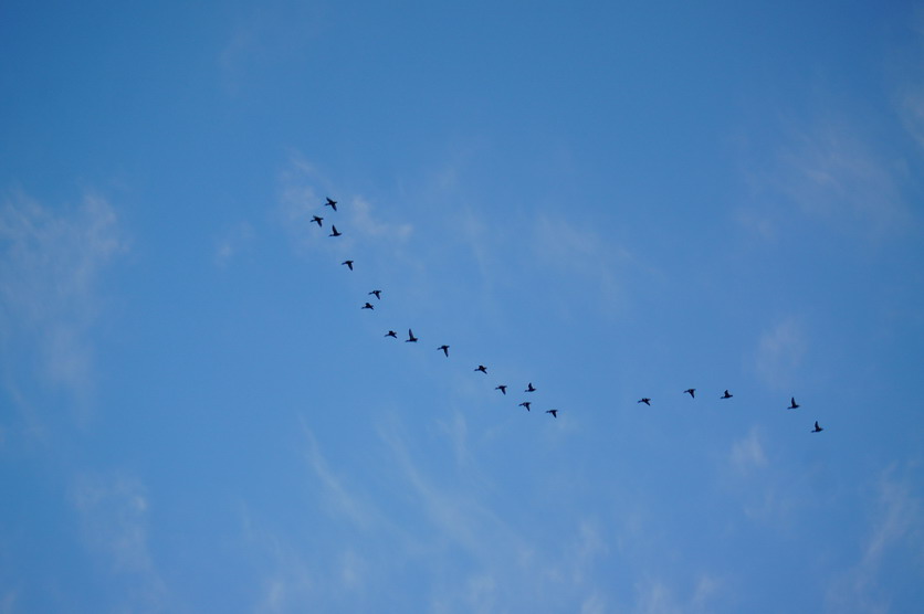 DSC00129.JPG