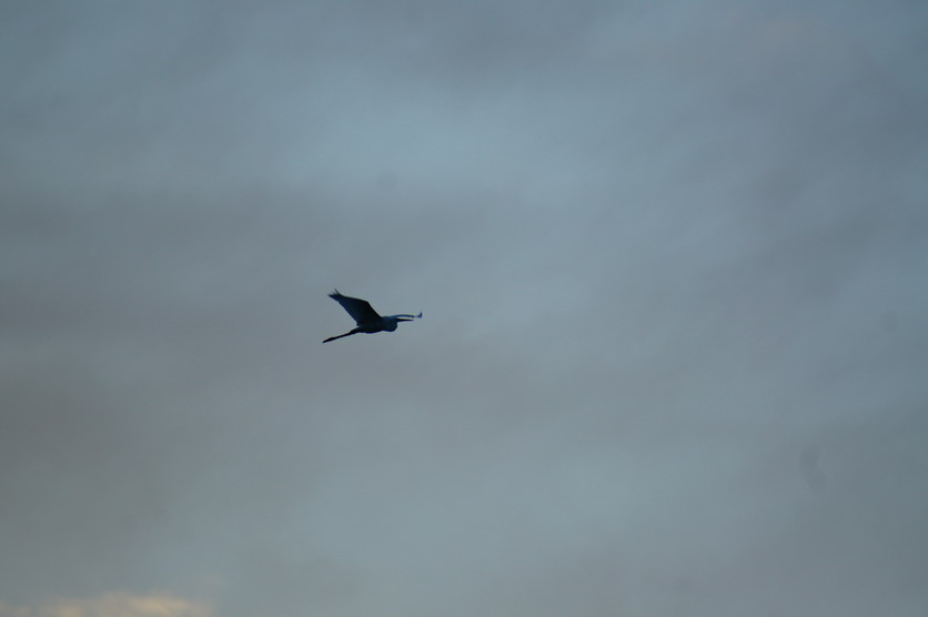 DSC00147.JPG