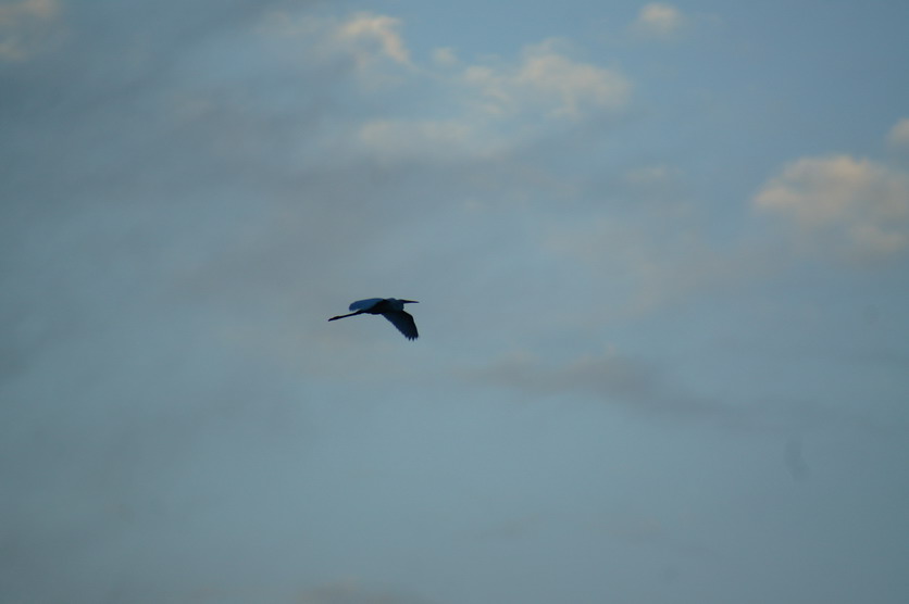 DSC00149.JPG