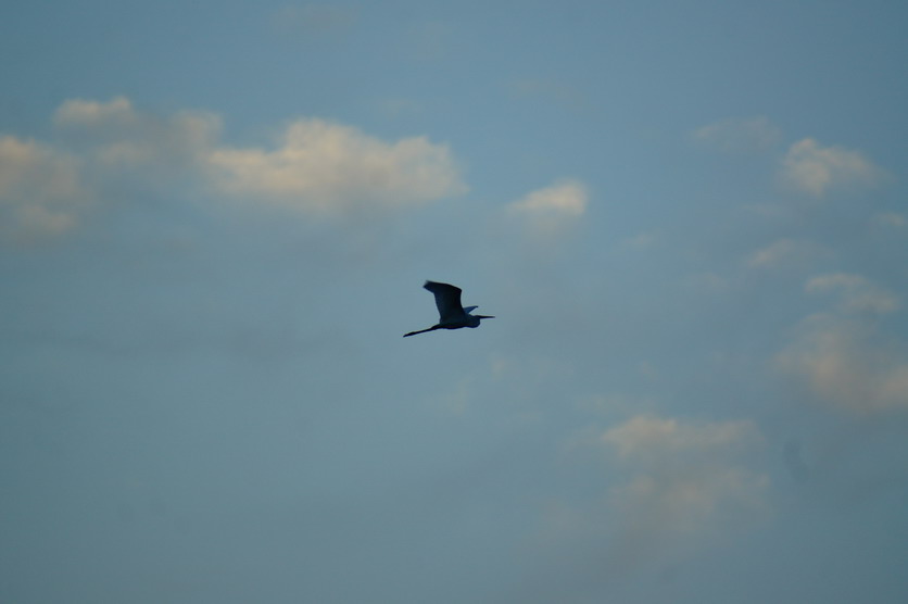DSC00150.JPG