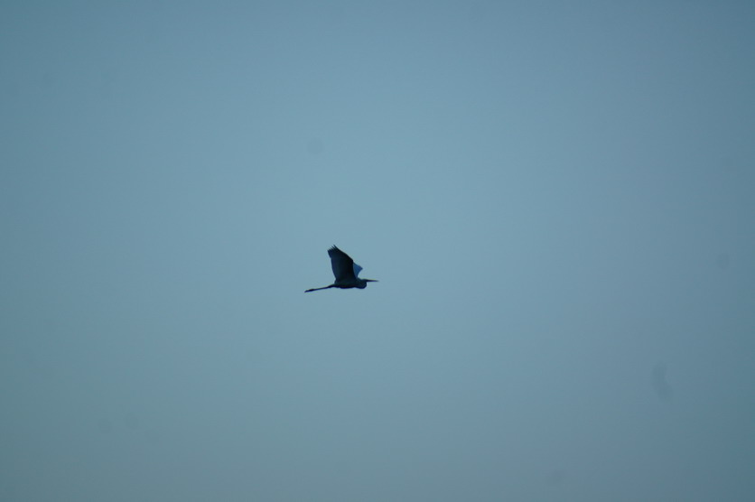DSC00151.JPG