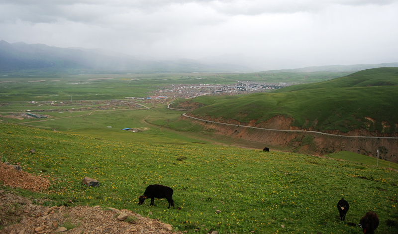 n60 473.jpg