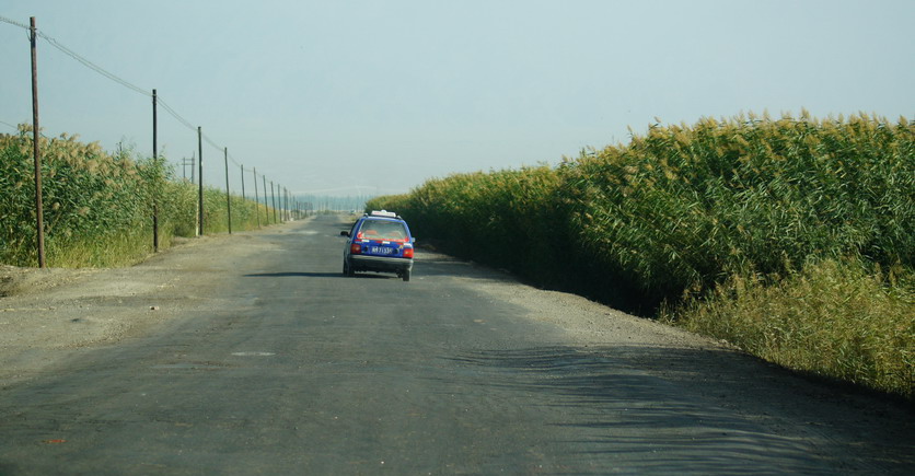DSC00166.jpg