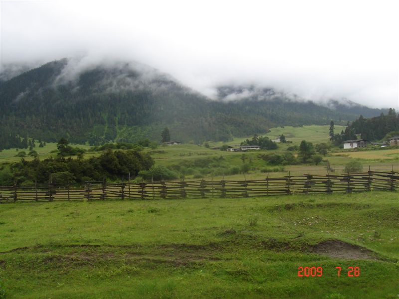DSC08479.JPG