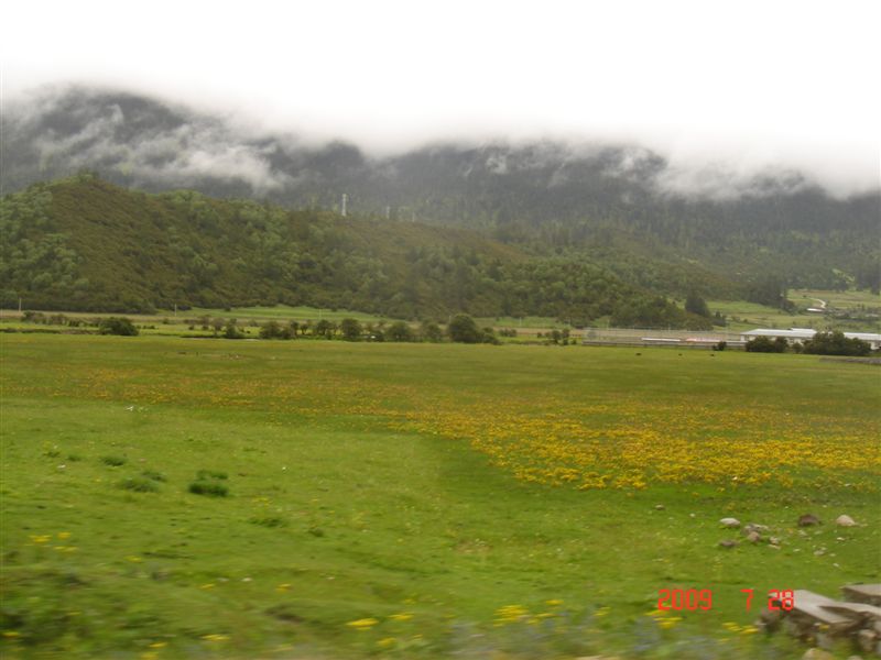DSC08500.JPG