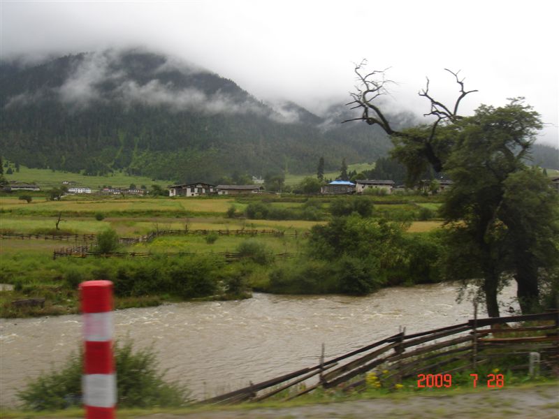DSC08485.JPG