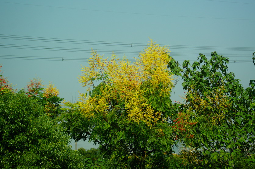 DSC00391.JPG