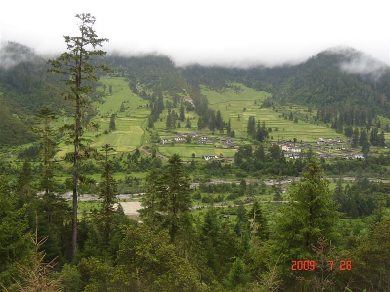 DSC08504.JPG