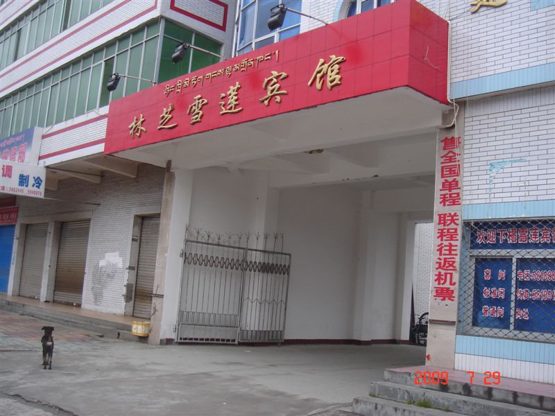 DSC08590.JPG