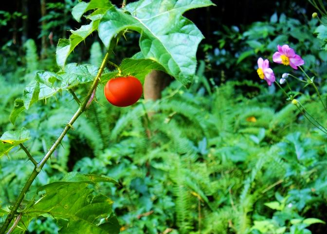 ������С DSCF0822.jpg