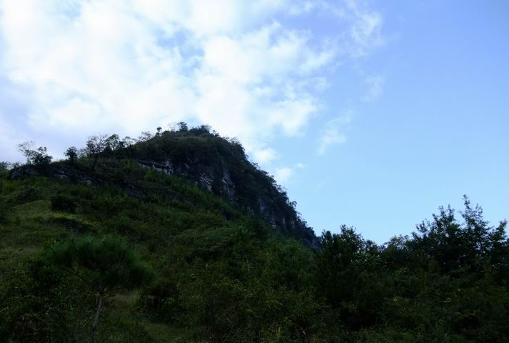 ������С DSCF0825.jpg
