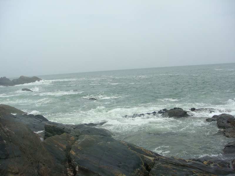DSC00152.jpg
