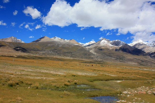 IMG_1638.JPG
