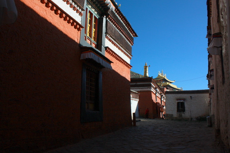 IMG_1814.JPG