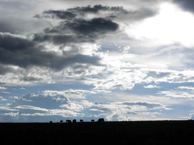 DSCN0528.JPG