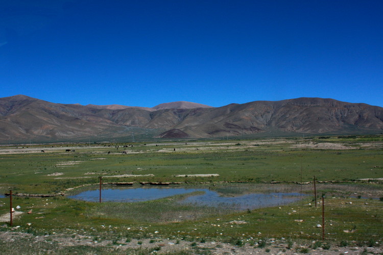 IMG_1879.JPG