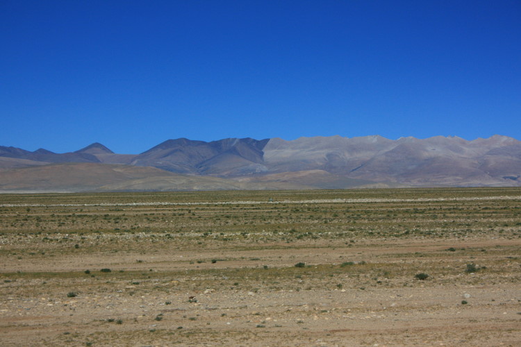 IMG_2170.JPG