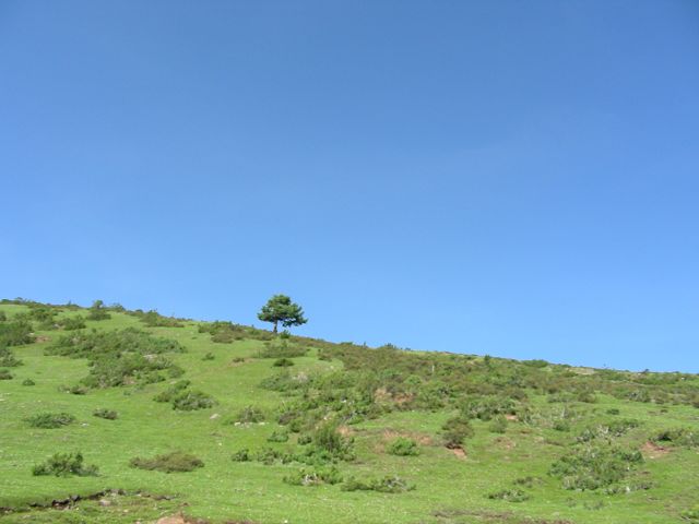 DSCN0624.JPG