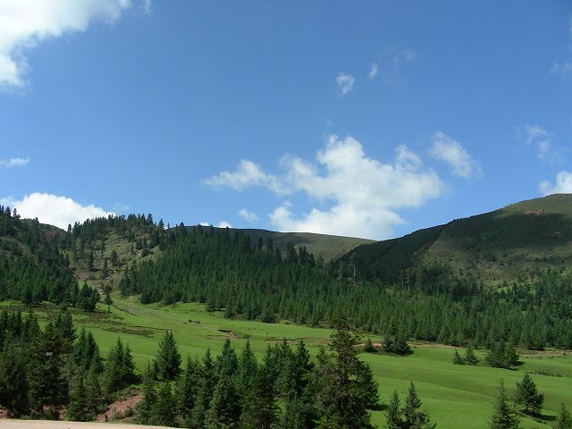 DSCN0657.JPG