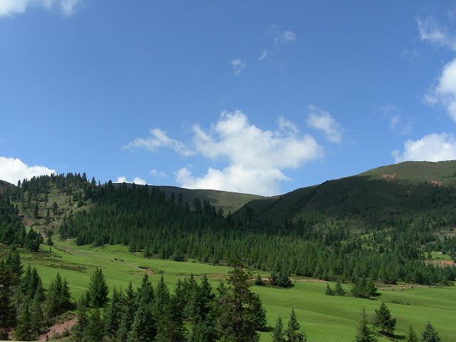 DSCN0660.JPG