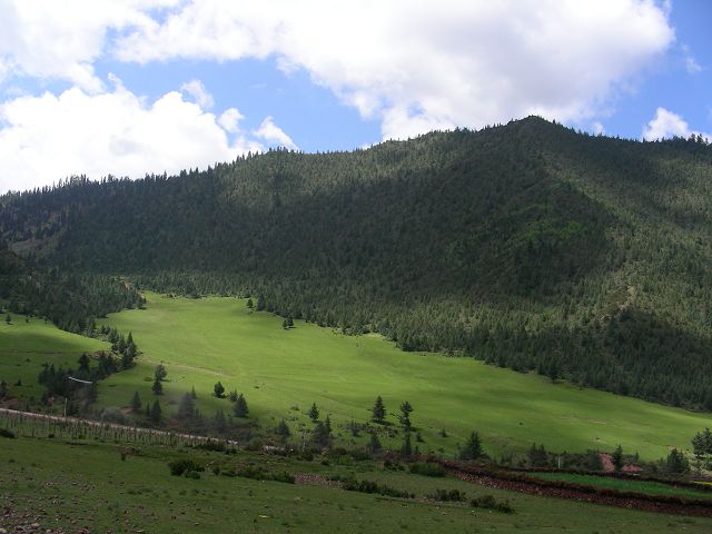 DSCN0683.JPG