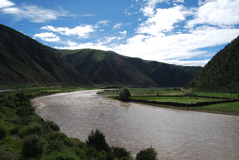n60 766.jpg