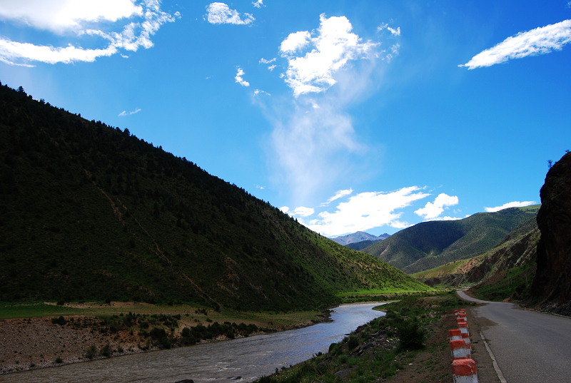 n60 785.jpg