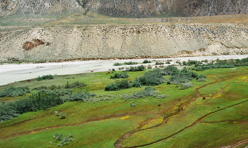 n60 869.jpg