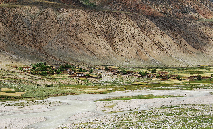 n60 873.jpg