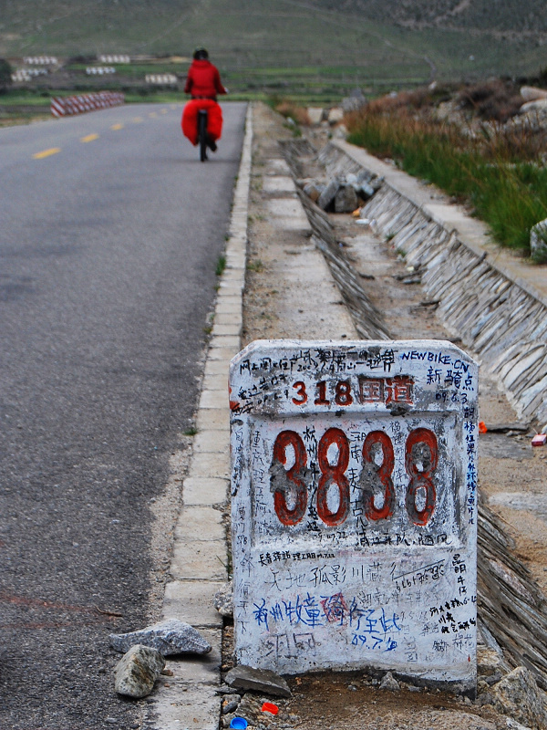 n60 877.jpg