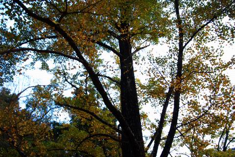 DSC_0167.jpg