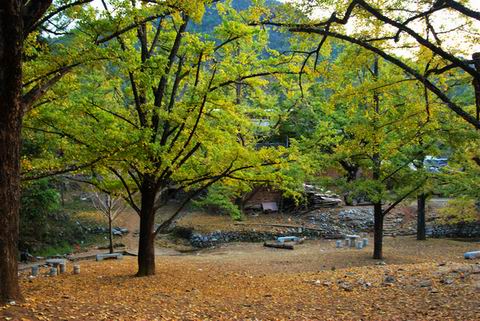 DSC_0169.jpg
