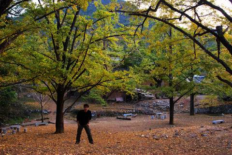 DSC_0176.jpg