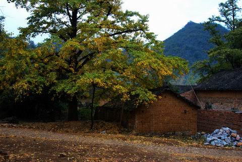 DSC_0226.jpg