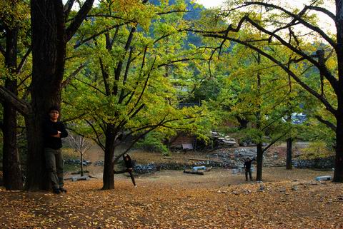 DSC_0181.jpg