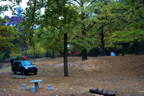 DSC_0242.jpg